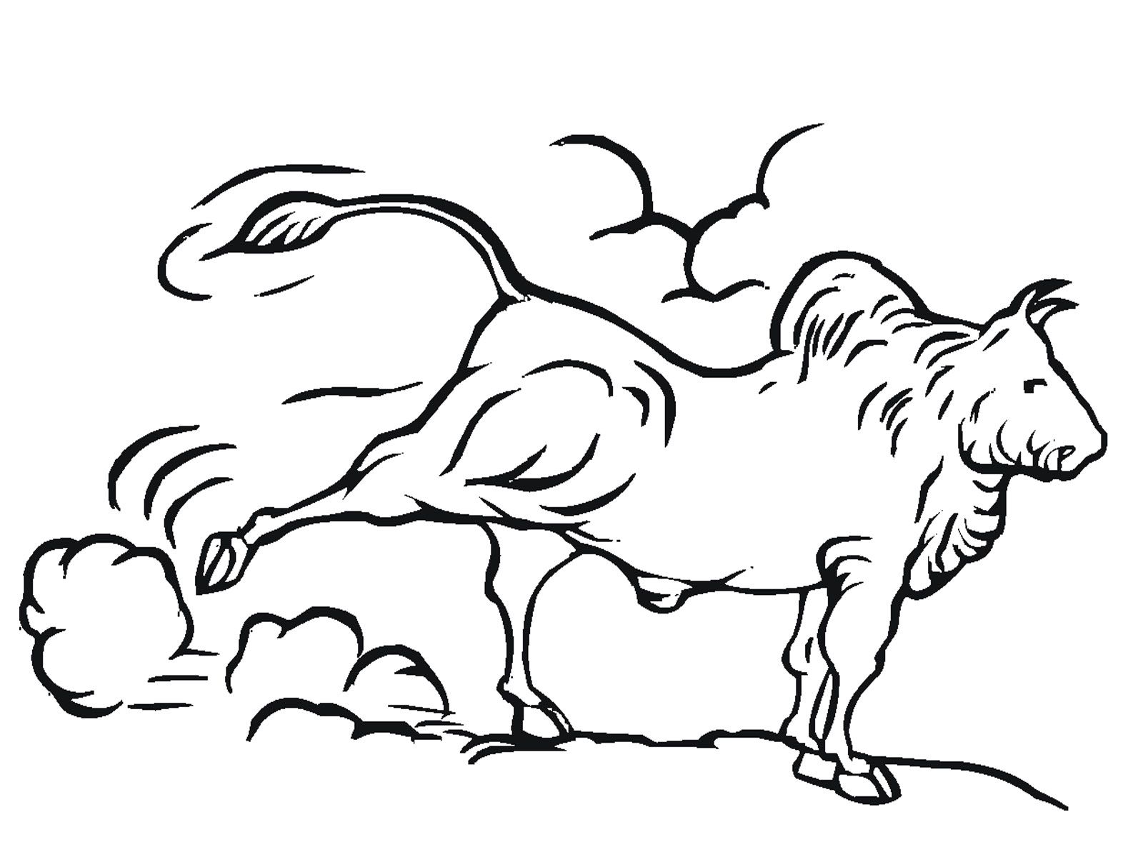 Bullriding Coloring Pages - Coloring Pages For All Ages
