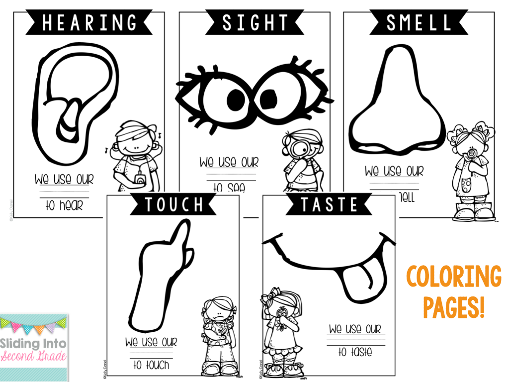 5 Senses Coloring Pages (19 Pictures) - Colorine.net | 8597