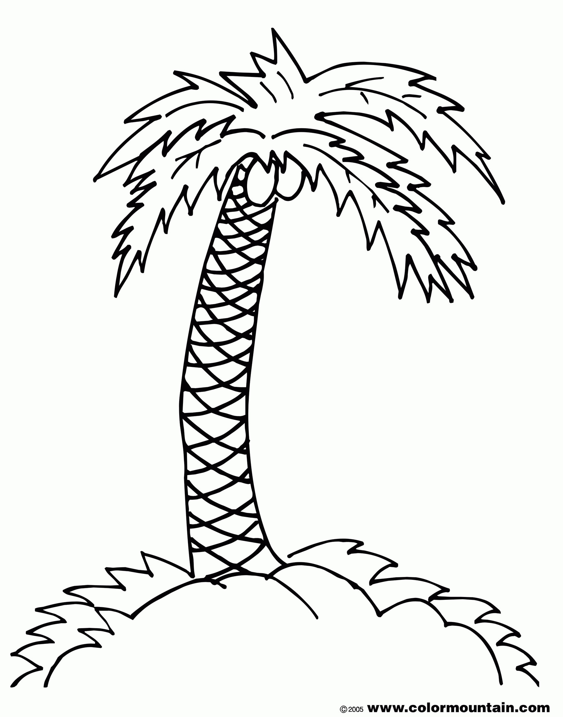 Palm Tree Coloring Pages To Print Coloring Home