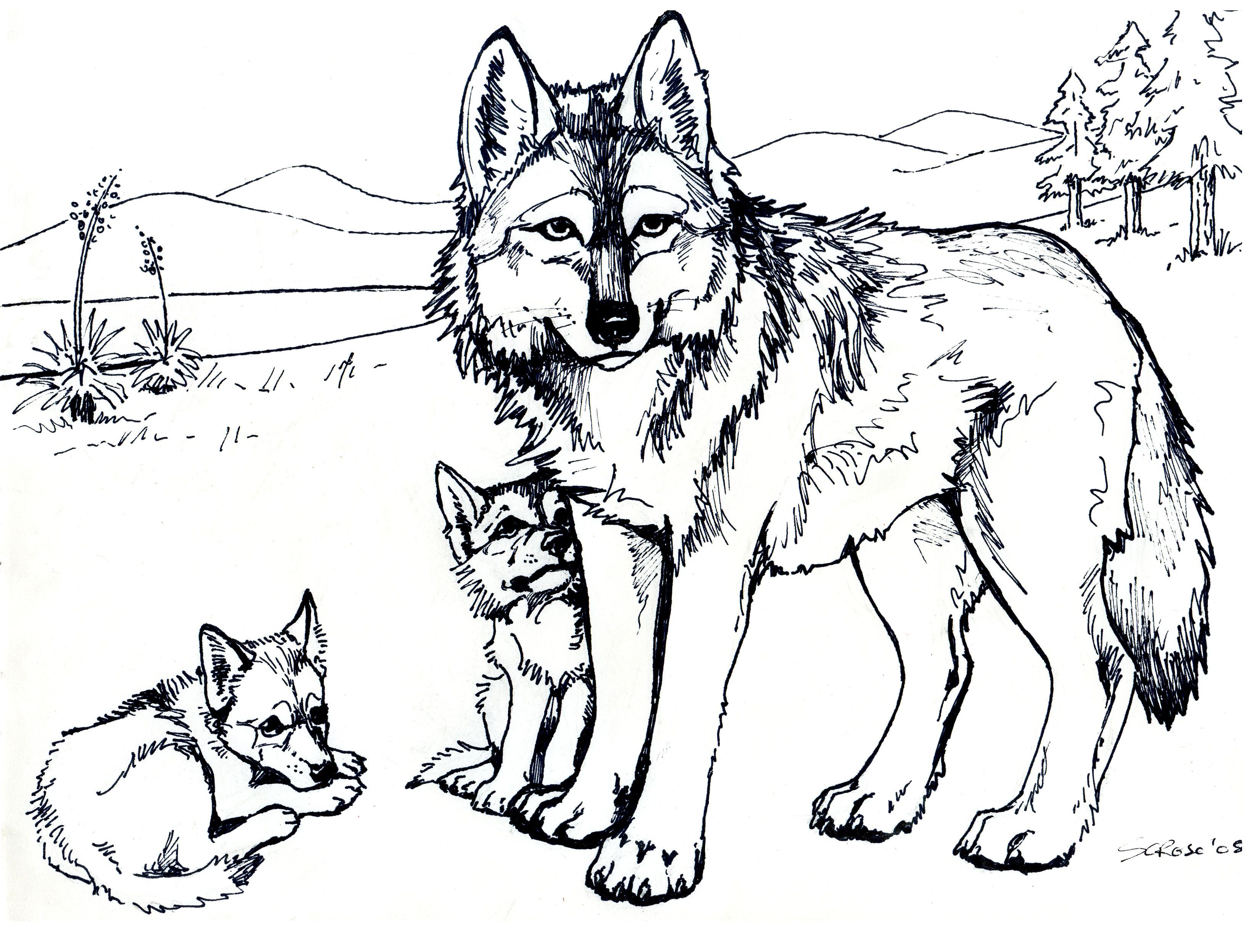 cool-animal-coloring-pages-coloring-home