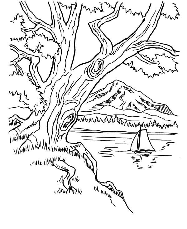 Trees on Mountains Area on Arbor Day Coloring Pages | Best Place ...