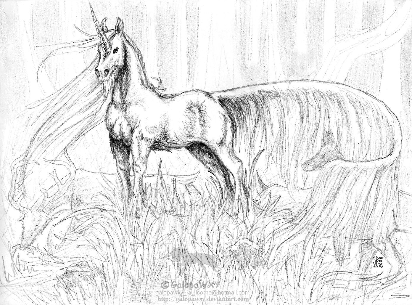 7 Pics of Realistic Pegasus Coloring Pages - Pegasus Coloring ...