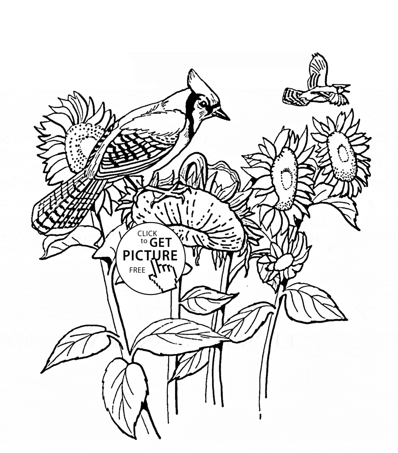 Blue Flower Coloring Page - Coloring Pages For All Ages