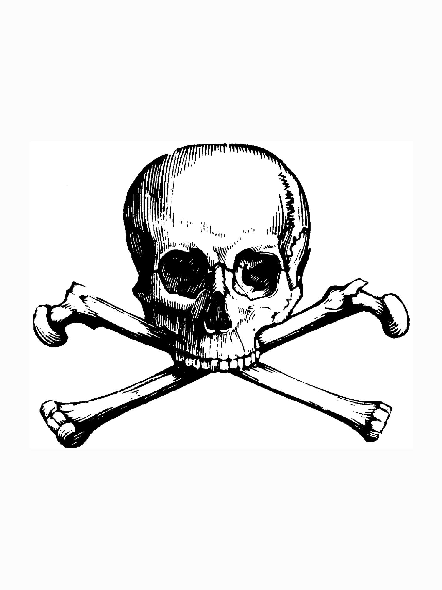 SKULL AND CROSSBONES COLORING PAGE Â« ONLINE COLORING