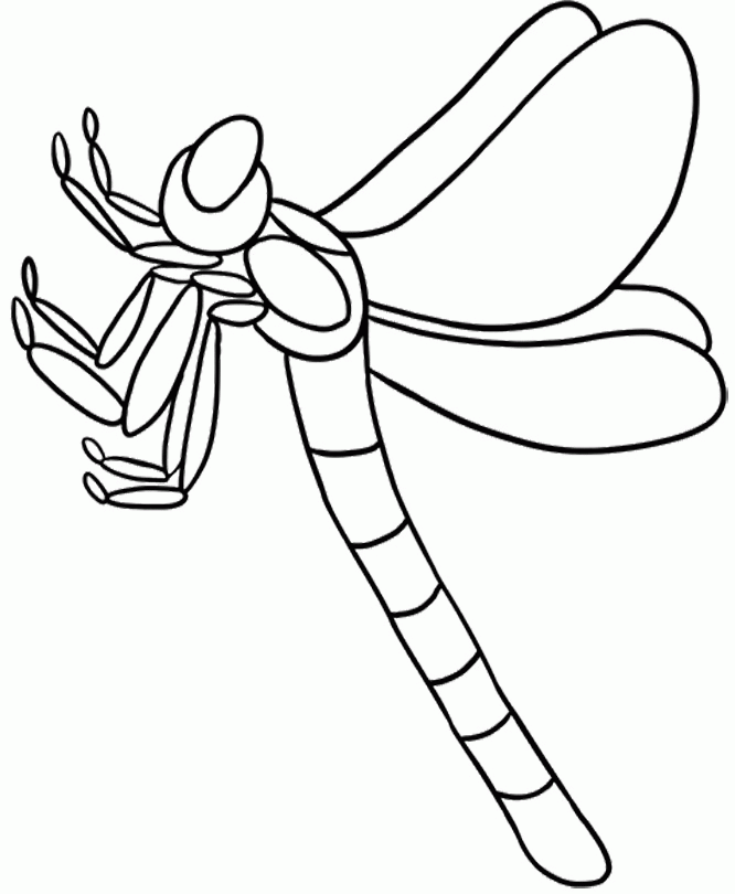 Animal Coloring Pages : Dragonfly That Rested On Leaf Coloring 