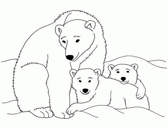 Baby Polar Bear Coloring Pages - Coloring Home
