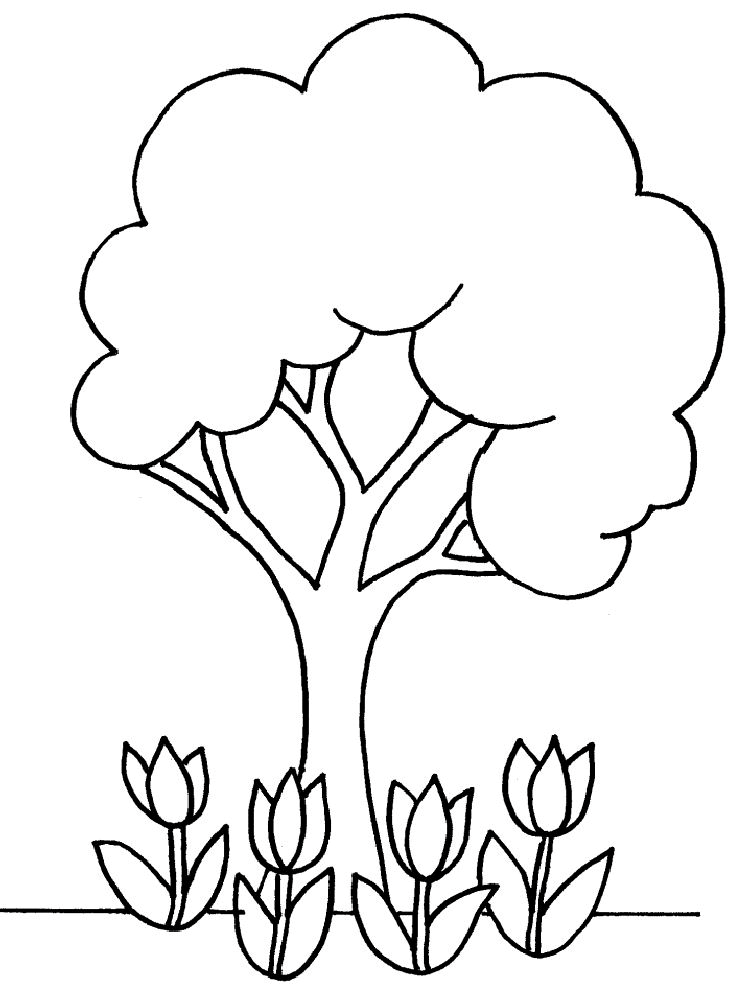 Best Coloring Pics Evergreen Tree | Coloring pages wallpaper