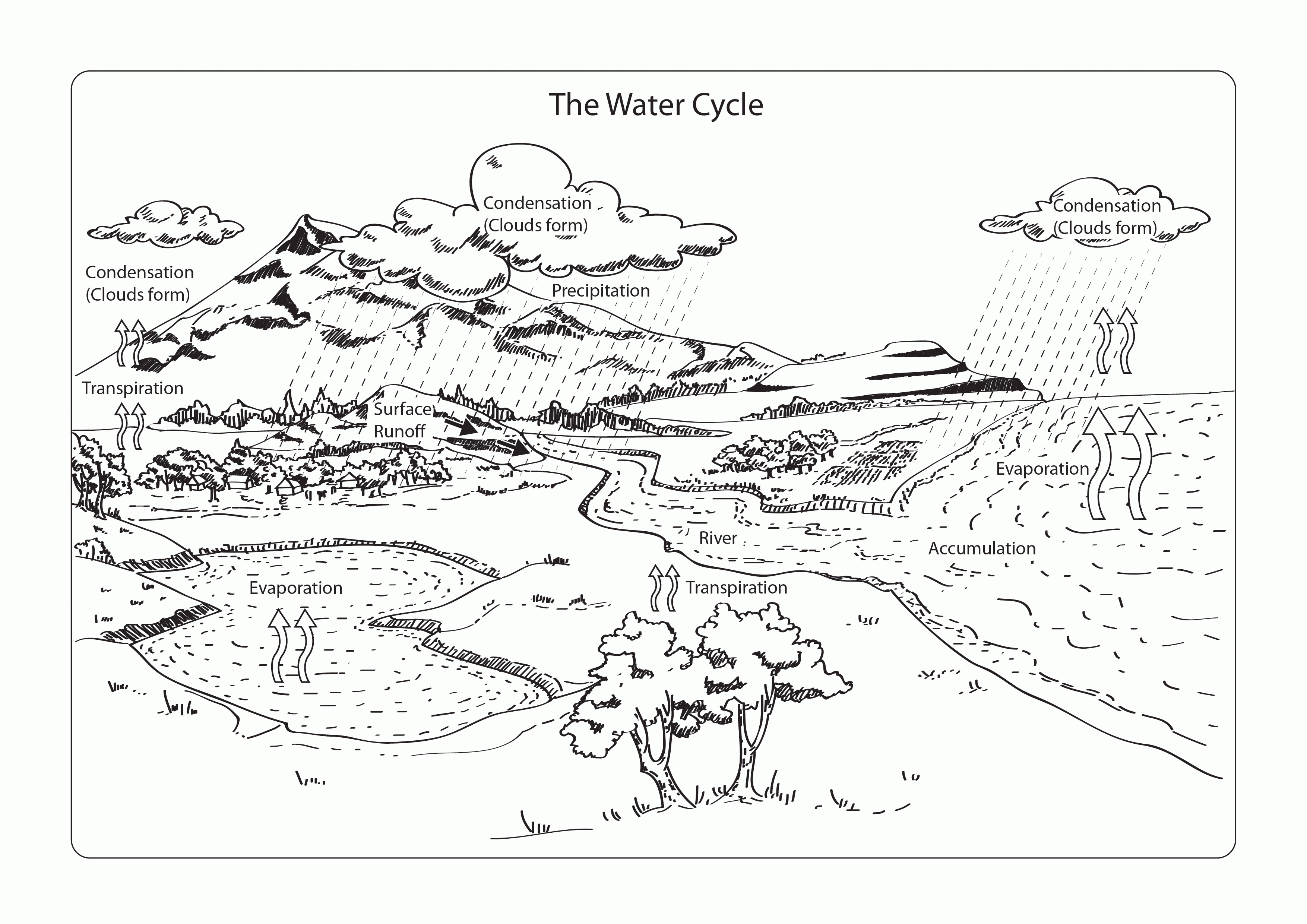 Coloring PAGE WATER CYCLE Coloring Home
