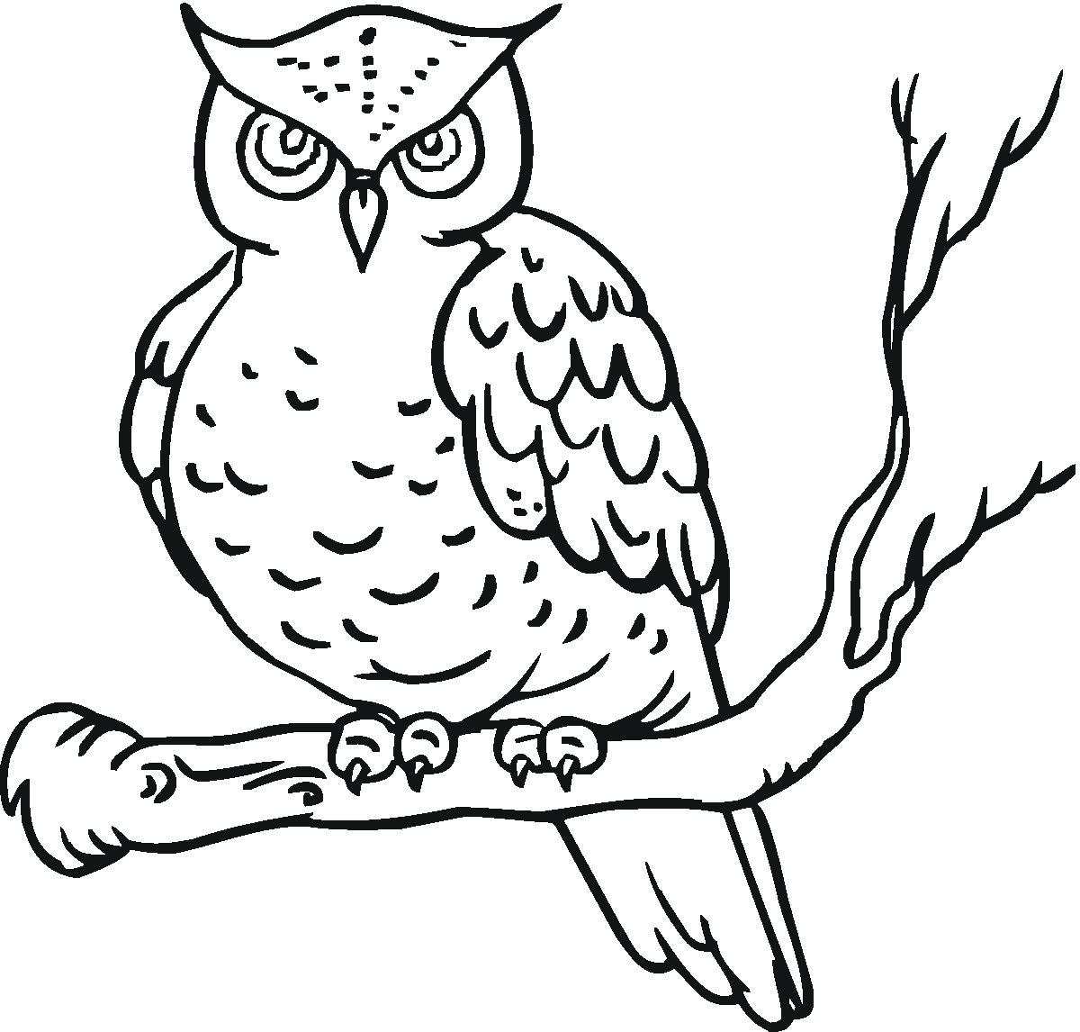 Owl coloring pages, Coloring pages and Owl