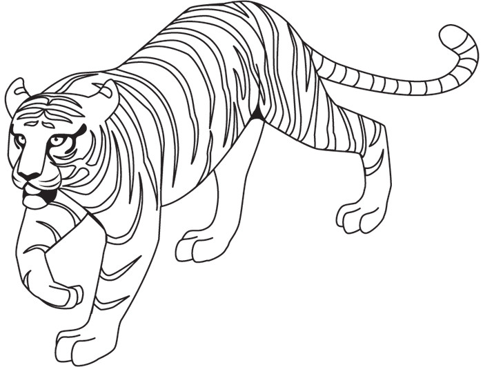Tiger Template outline free