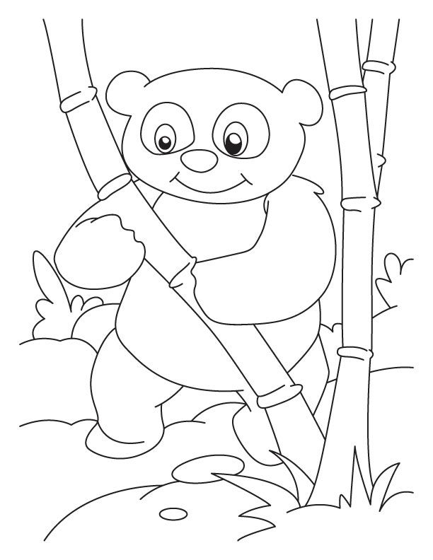 8 Pics of Anime Panda Coloring Pages - Baby Panda Coloring Pages ...