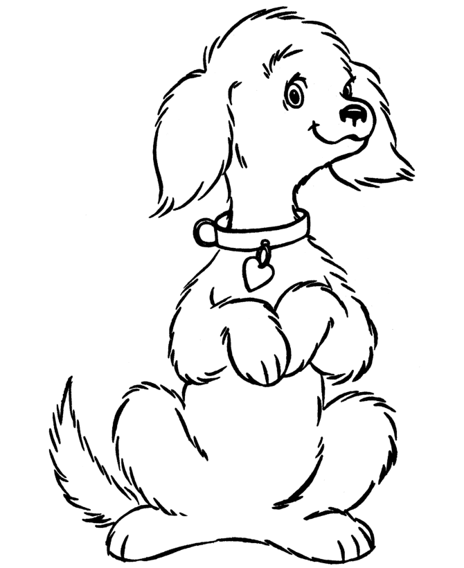 Dog Coloring Pages | Printable cute pet dog coloring page sheet ...