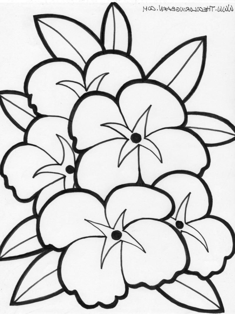 Free Coloring Pages Of Hawaiian Flowers | Coloring Online