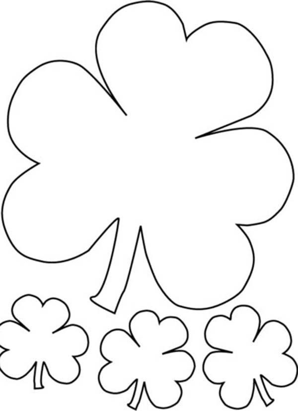 The Irish Called Three-Leaf Clover as Shamrock Coloring Page: The ...