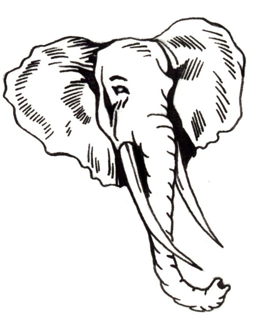 Elephant Face Coloring Page Coloring Home
