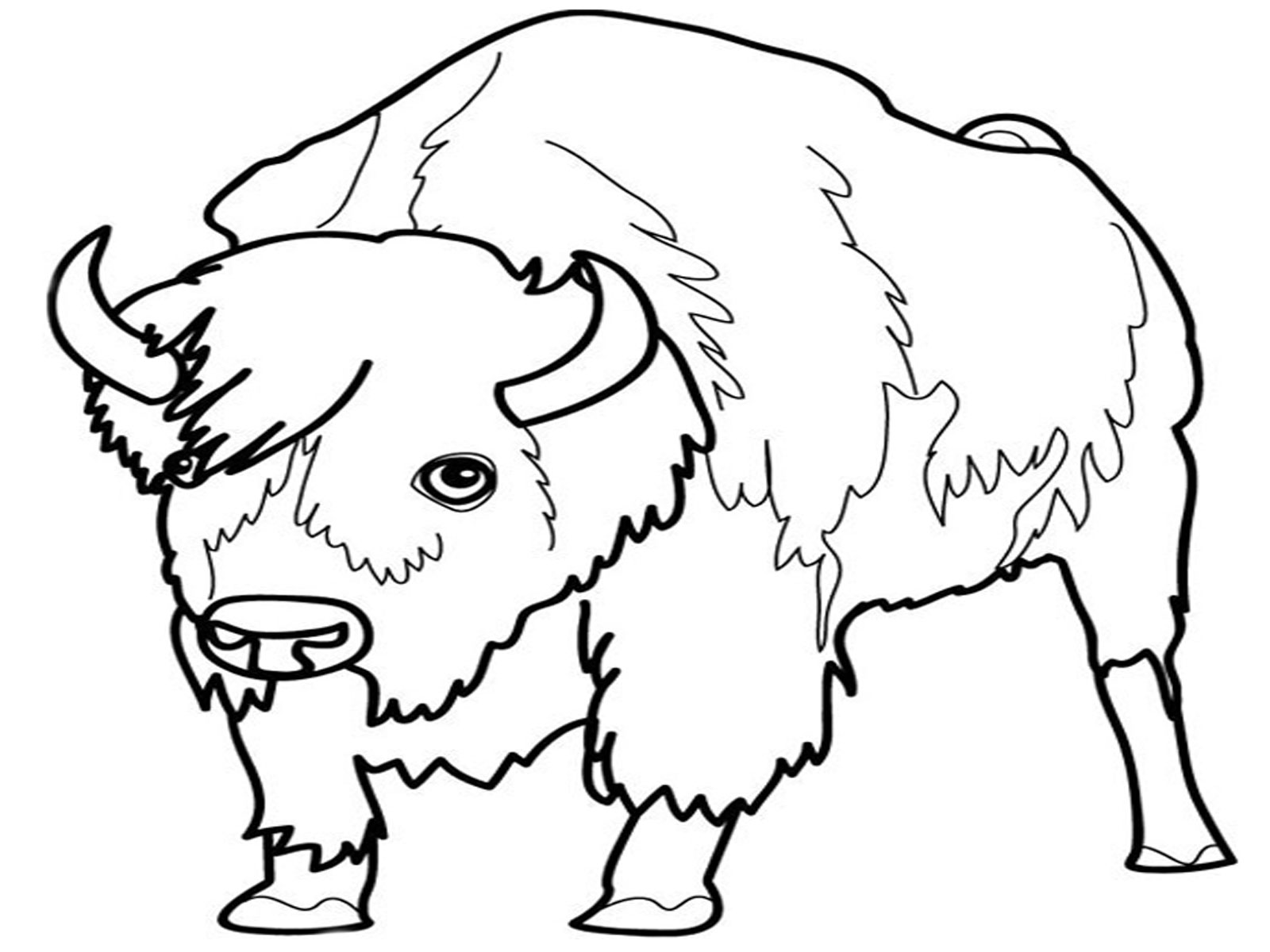 land animals coloring pages Gallery