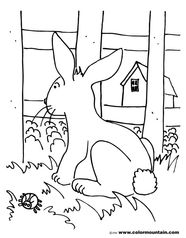 Worksheets Page 401 Fence Coloring Page Frozen Coloring Pages Kid Coloring  Pages Cars money activities for elementary students homeschool kindergarten  worksheets air practice test kumon workbooks free sentence writing  worksheets 4th grade