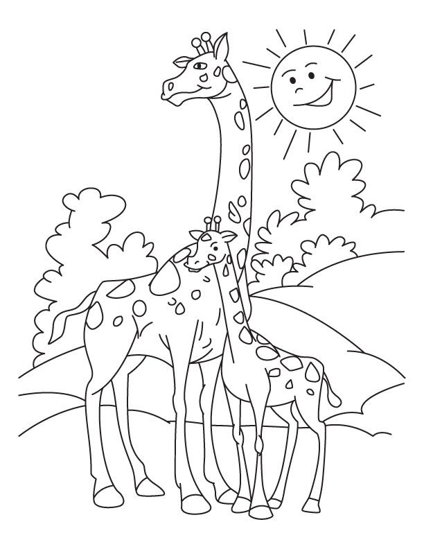 Giraffe Coloring Pages For Kids - Coloring Home