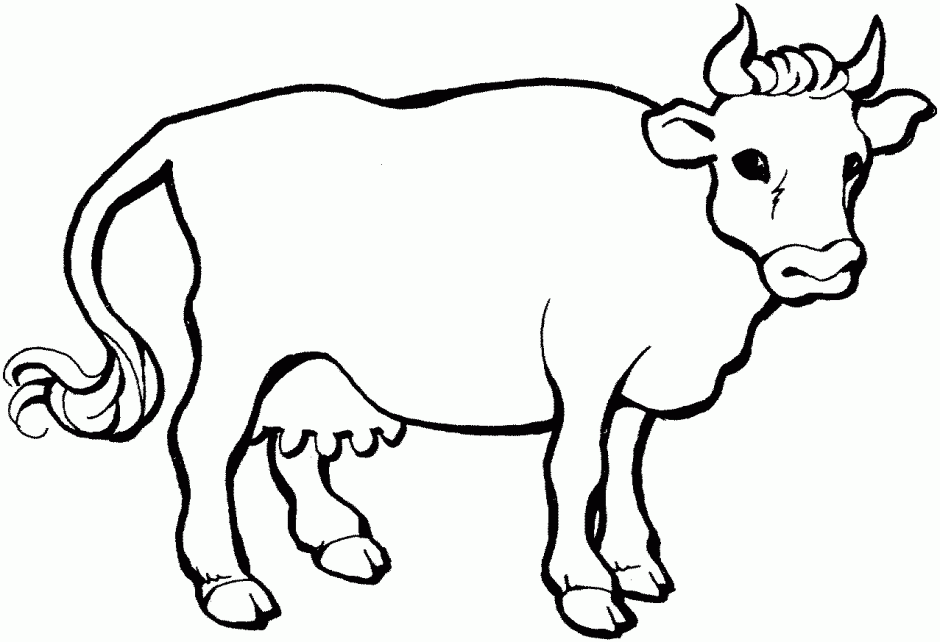 Coloring Pages 14439 Label Angus Baby