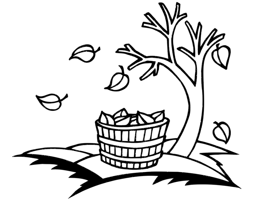 Autumn Coloring Page | Bare Autumn Tree