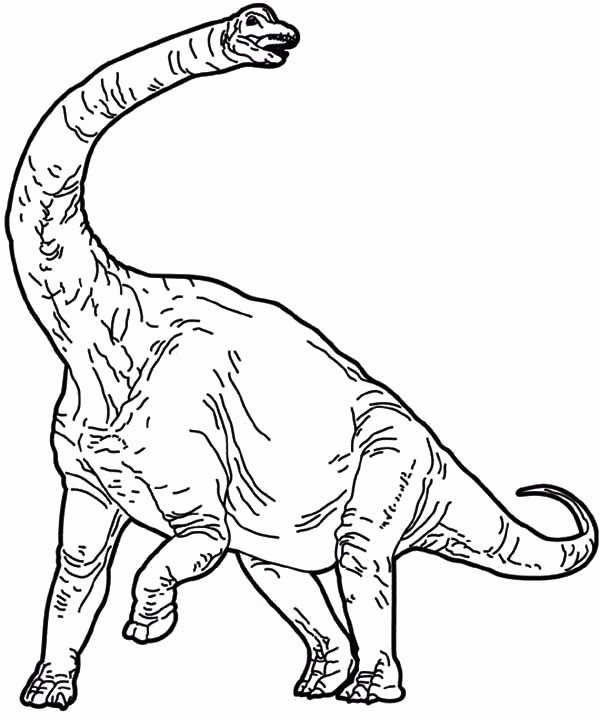 Diplodocus Coloring Page - Coloring Home