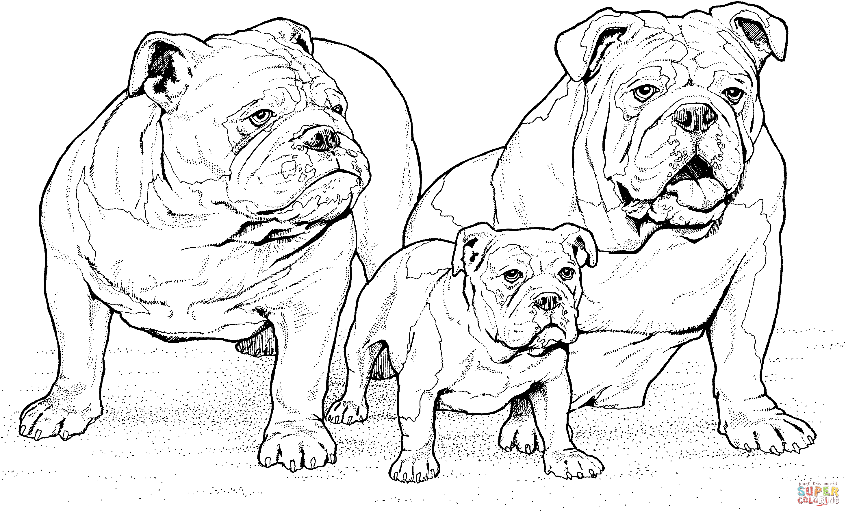 printable-bulldog-coloring-pages-coloring-home
