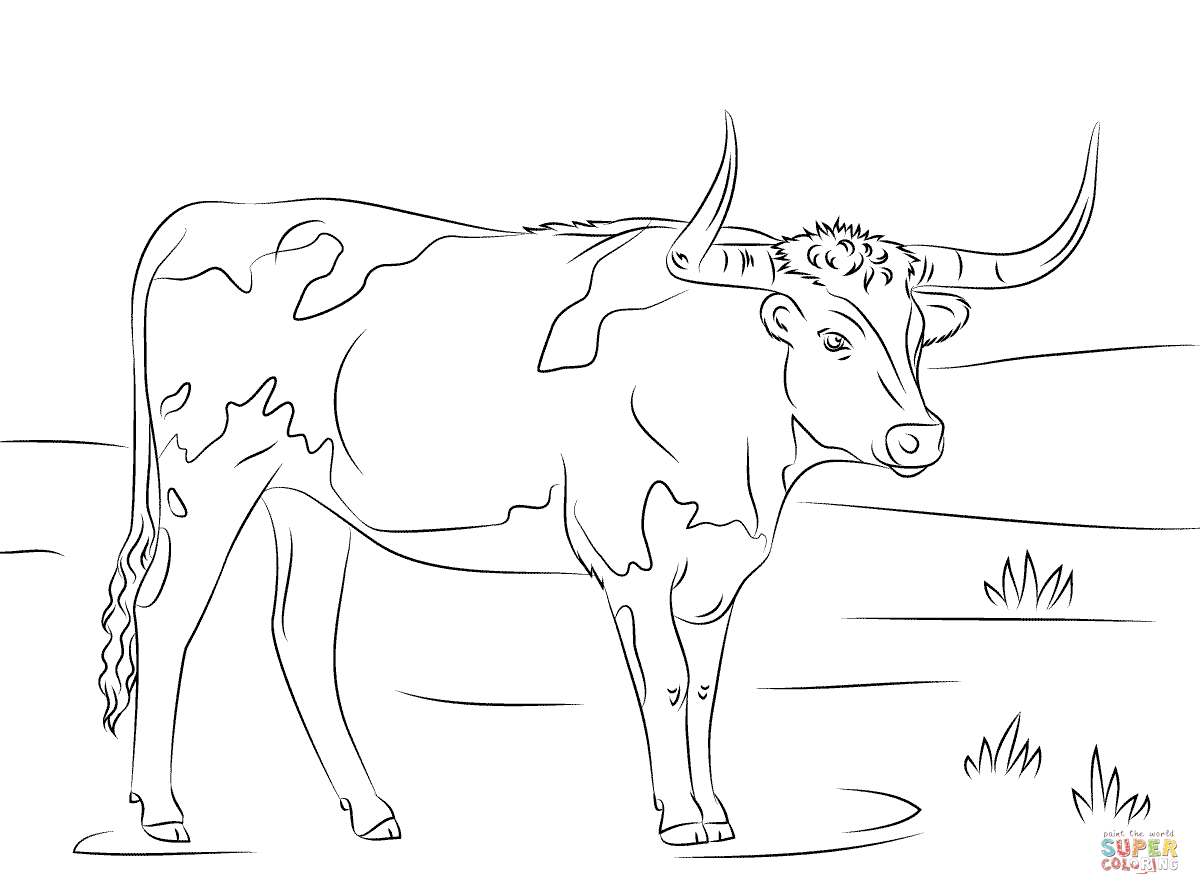 Longhorn coloring page