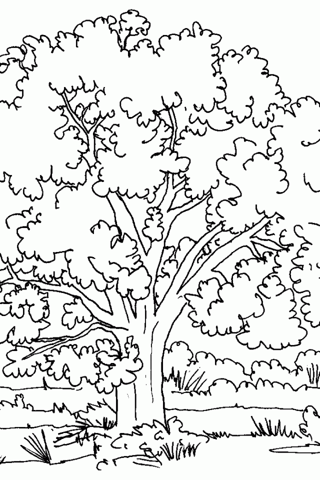 Line Drawings Online Coloring Book Tree New At Sheet Picture ...
