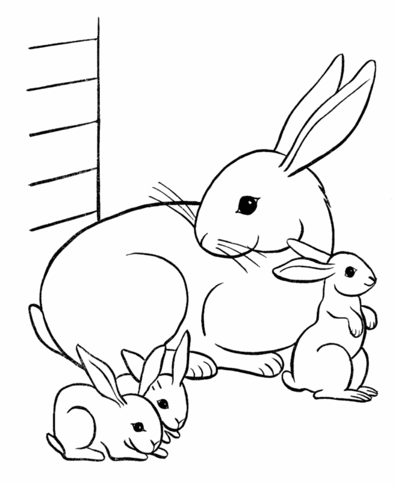 Cute Baby Animal Coloring Pages Dragoart
