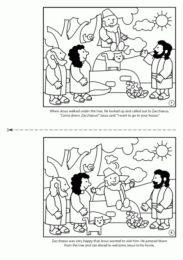 Zacchaeus meets jesus coloring book