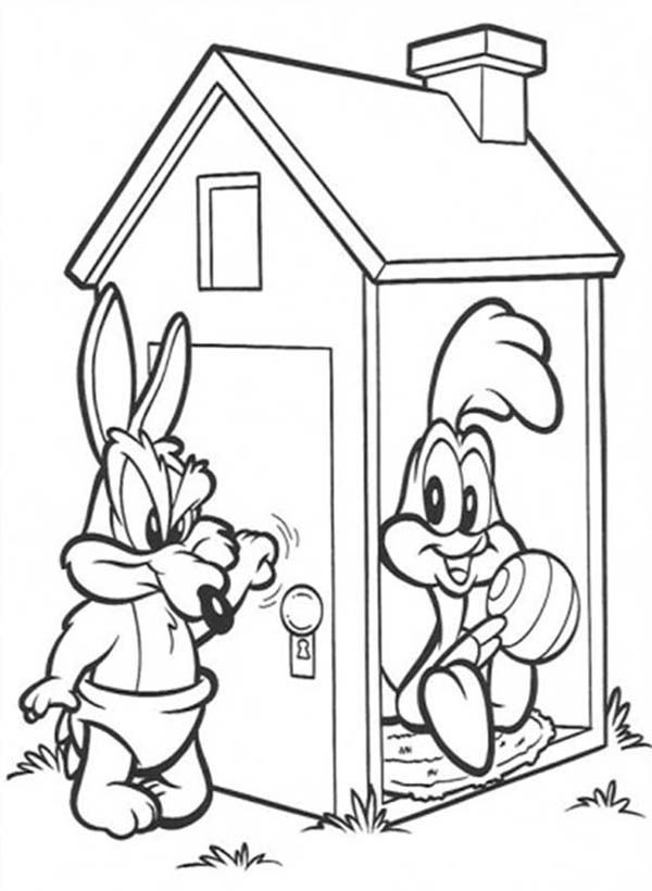 Wile E Coyote Search for Roadrunner Coloring Pages | Batch Coloring