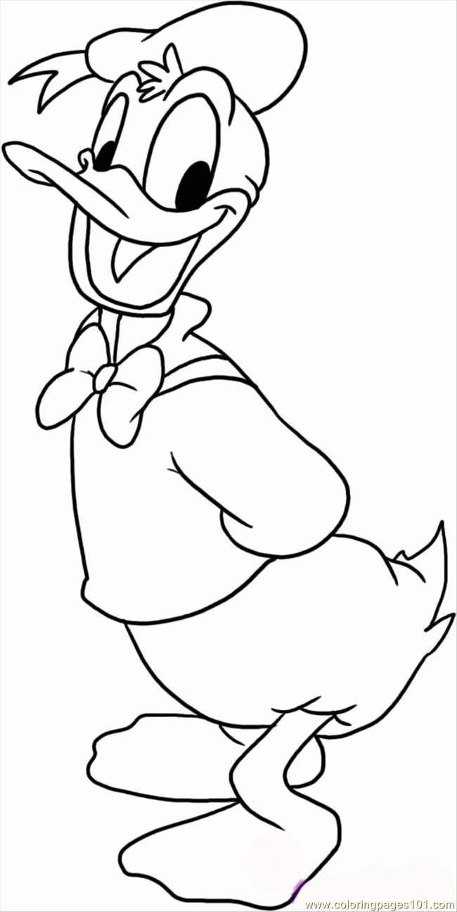 18 Free Pictures for: Duck Coloring Page. Temoon.us