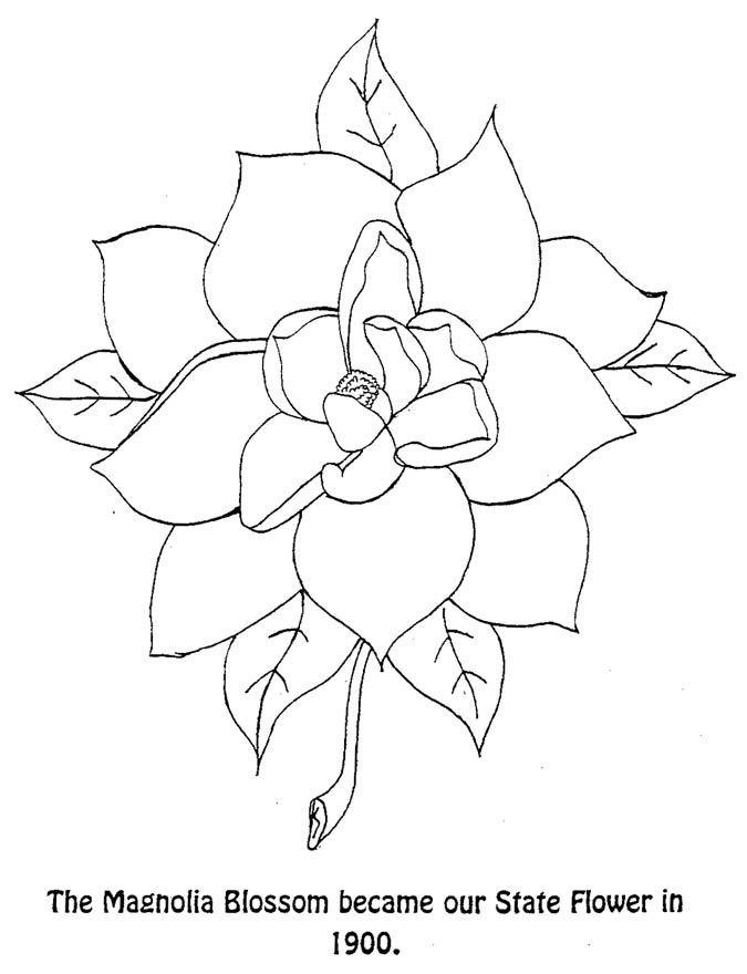 Magnolia Blossom - Lousiana State Flower Coloring Page
