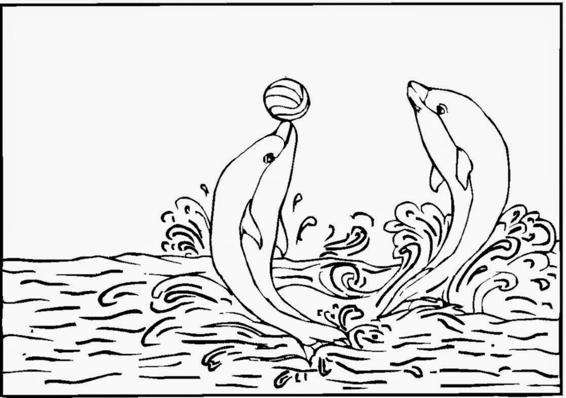 Dolphins - Coloring Pages for Kids and for Adults
