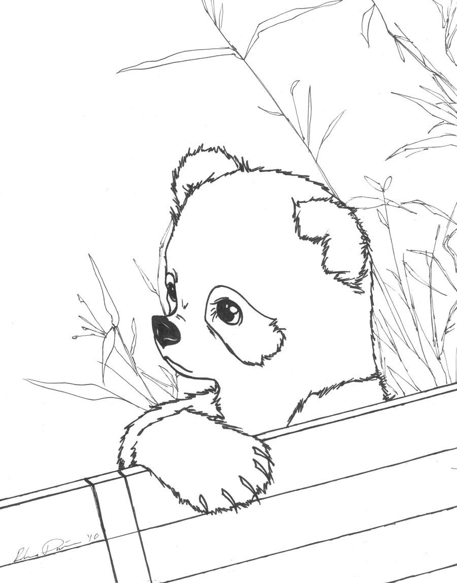 cute baby panda coloring pages | Only Coloring Pages