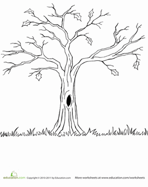 Tree Coloring Page - Coloring Page