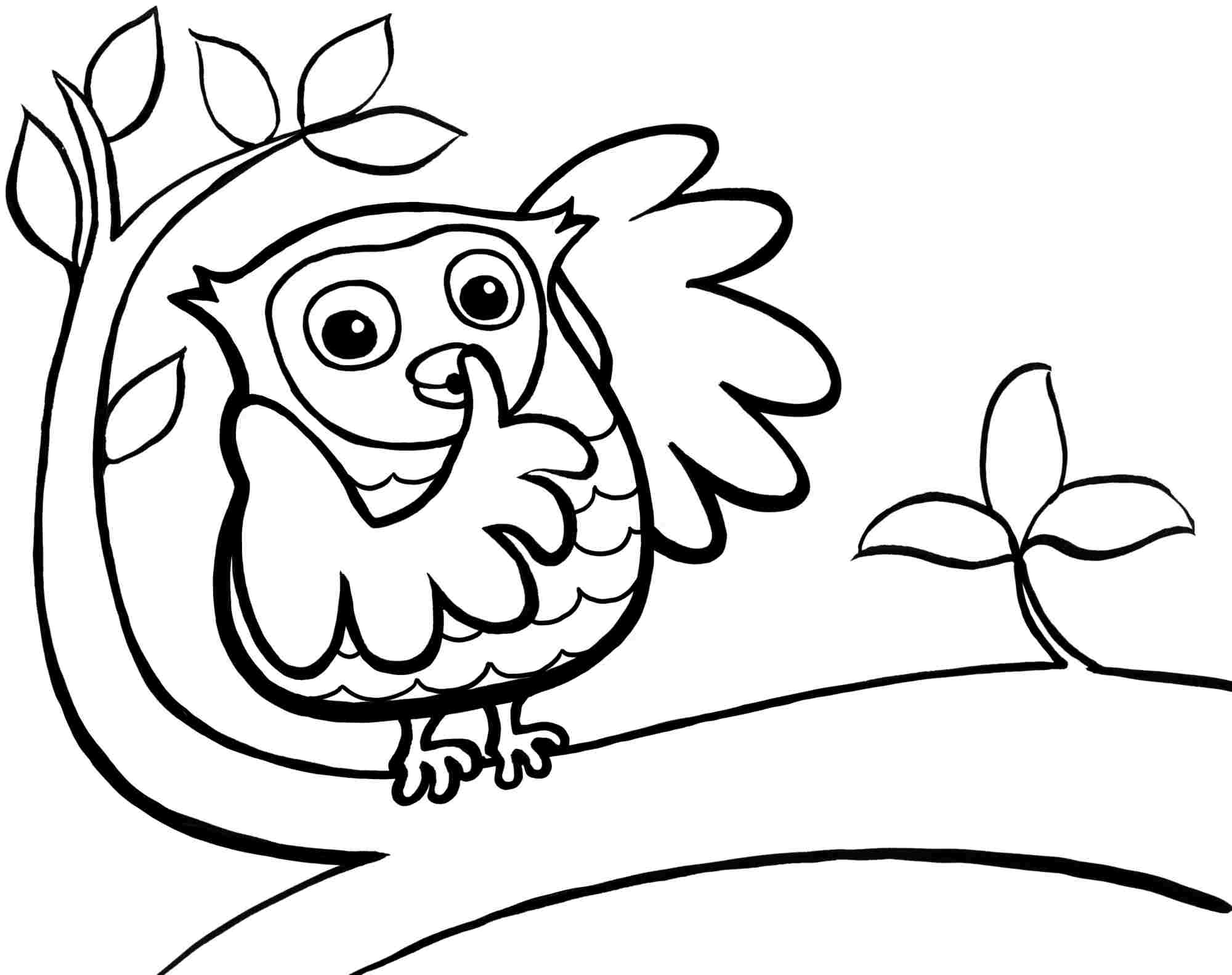 Cute Baby Owl Coloring Pages Coloring Home