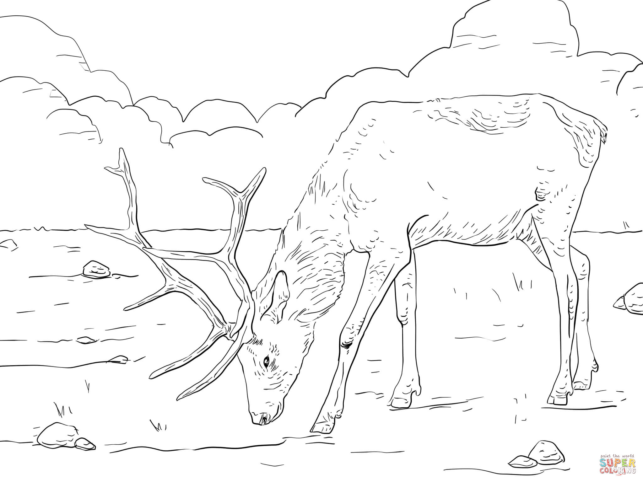 Manitoban Elk coloring page | Free Printable Coloring Pages