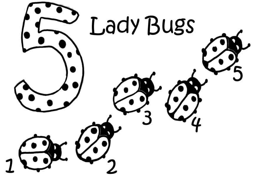 five ladybugs Colouring Pages