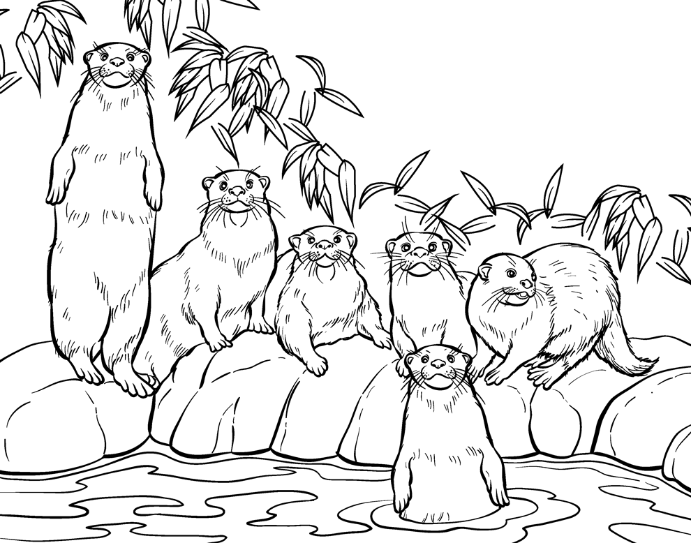 Otter Coloring Pages - Coloring For KidsColoring For Kids
