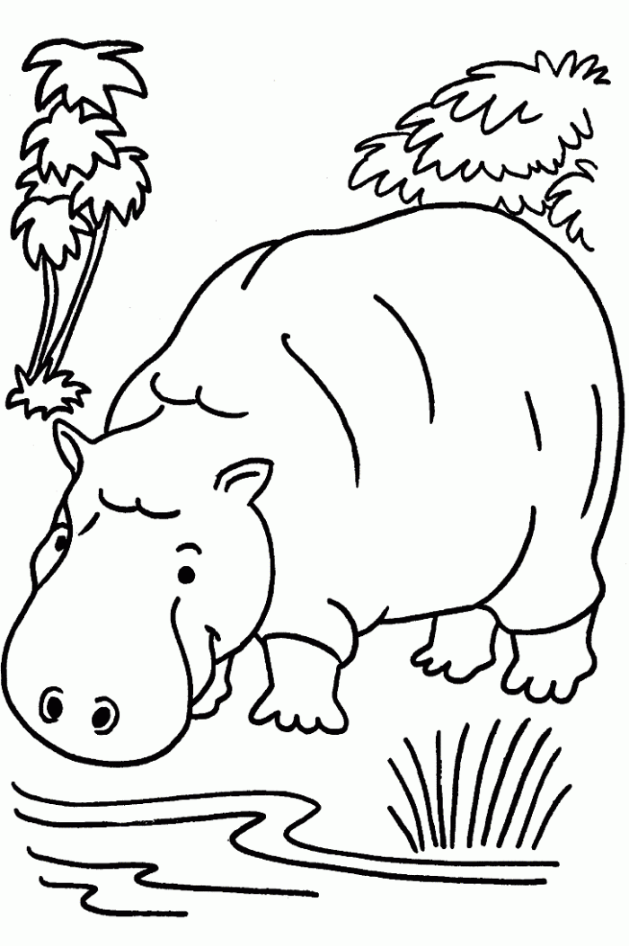 Hippopotamus Coloring Page For Kids