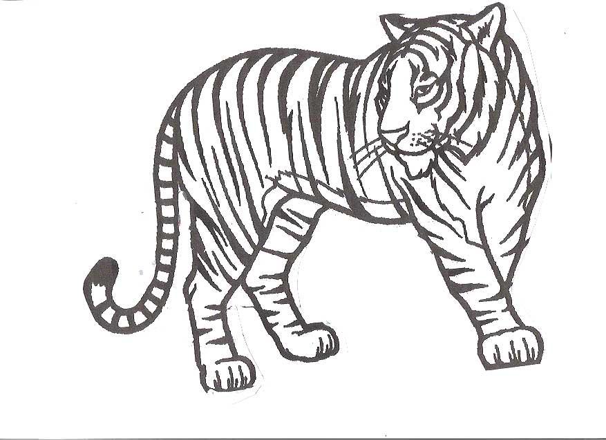 Outline Of A Tiger - Coloring Home