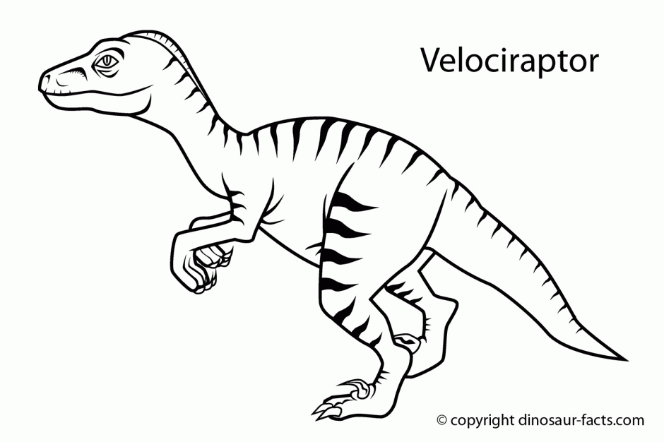 Dinosaur Facts Velociraptor 139854 Dinosaur Fossil Coloring Pages