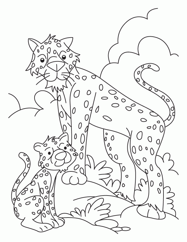 baby cheetah coloring pages to print - photo #10