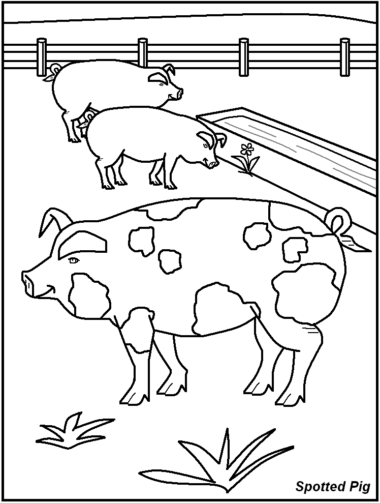 FREE Printable Farm Animal Coloring Pages - great for kids 