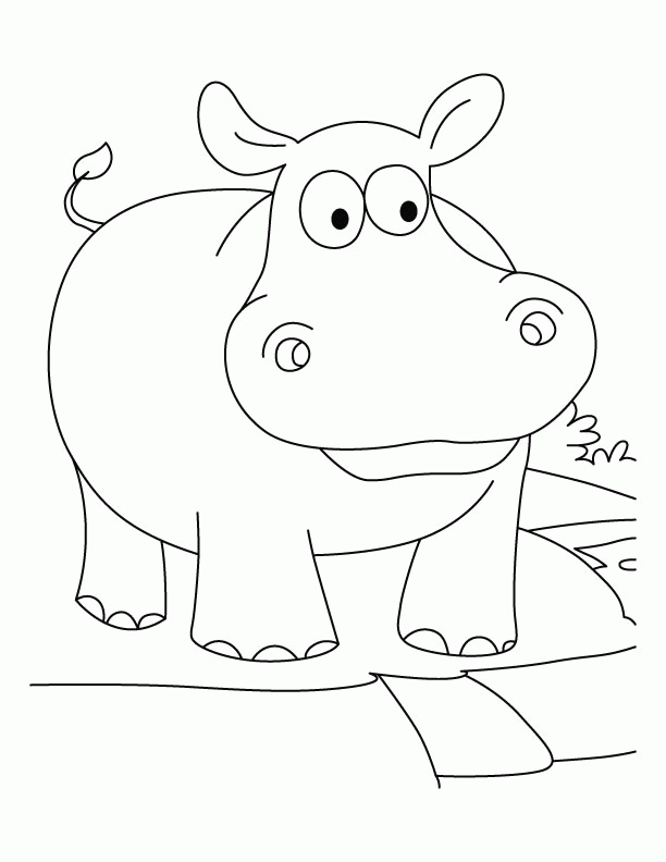 Baby Hippo Coloring Pages Home Hippos