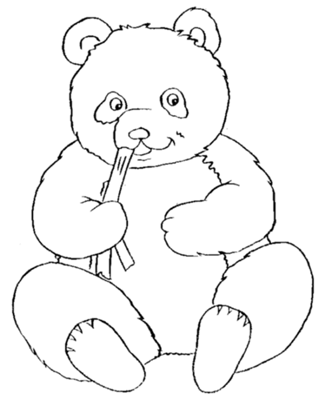 cute panda bear Colouring Pages