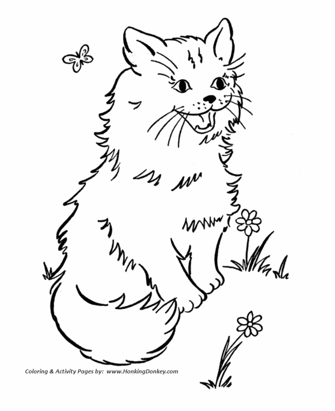Cat Coloring Pages | Printable Cat and butterfly Coloring Page ...