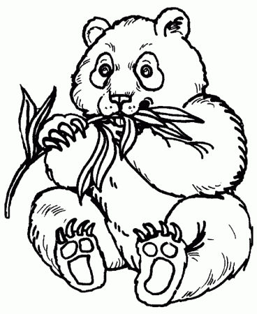 Wild Animal Coloring Pages | Panda bear feeding Coloring Page and 