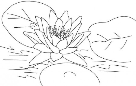 7 Pics of Lotus Flowers Coloring Page - Lotus Flower Coloring ...